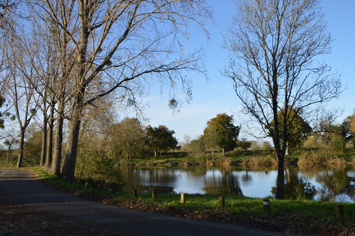 Le Canal de la Martinière