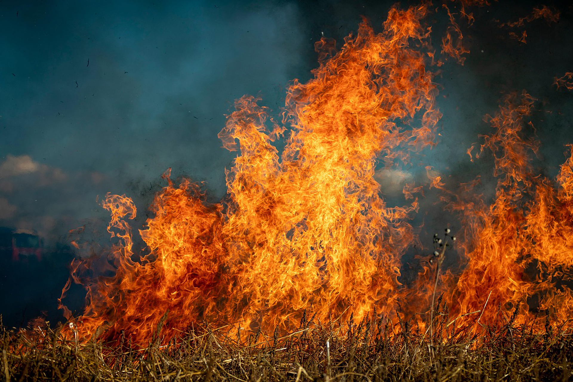 Alerte incendie : prévention des feux de forêt et de végétation