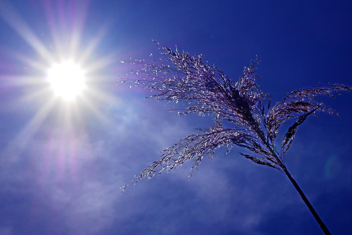 Alerte canicule et/ou fortes chaleurs