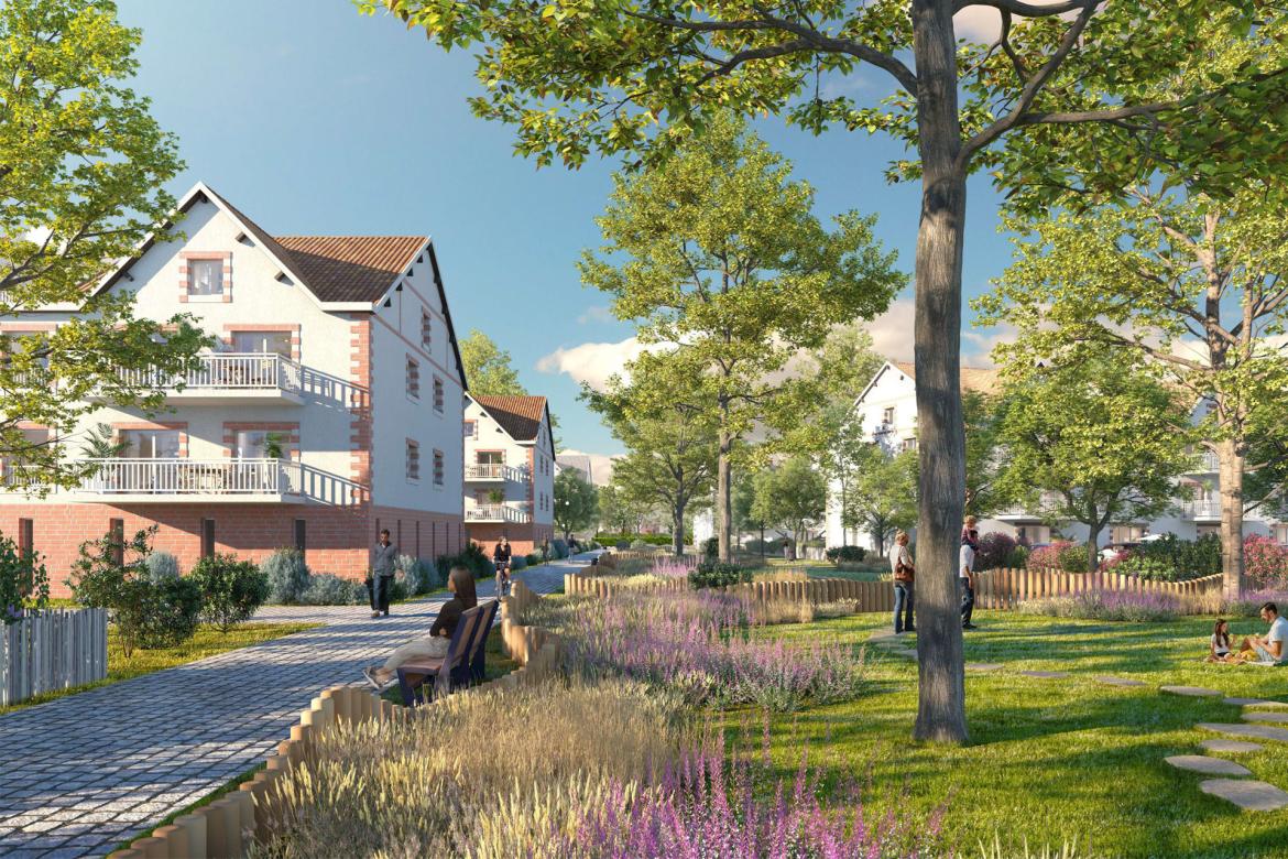 Projet Grandes Noëlles : votre avis compte !