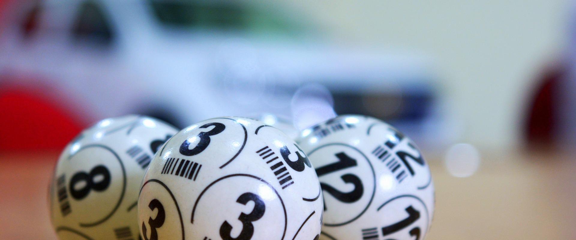 Loto