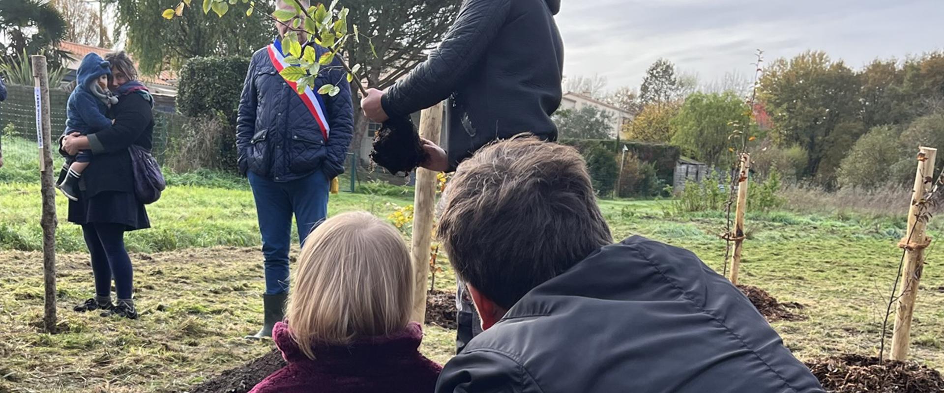 Enfant observant la plantation d'un arbre en 2022