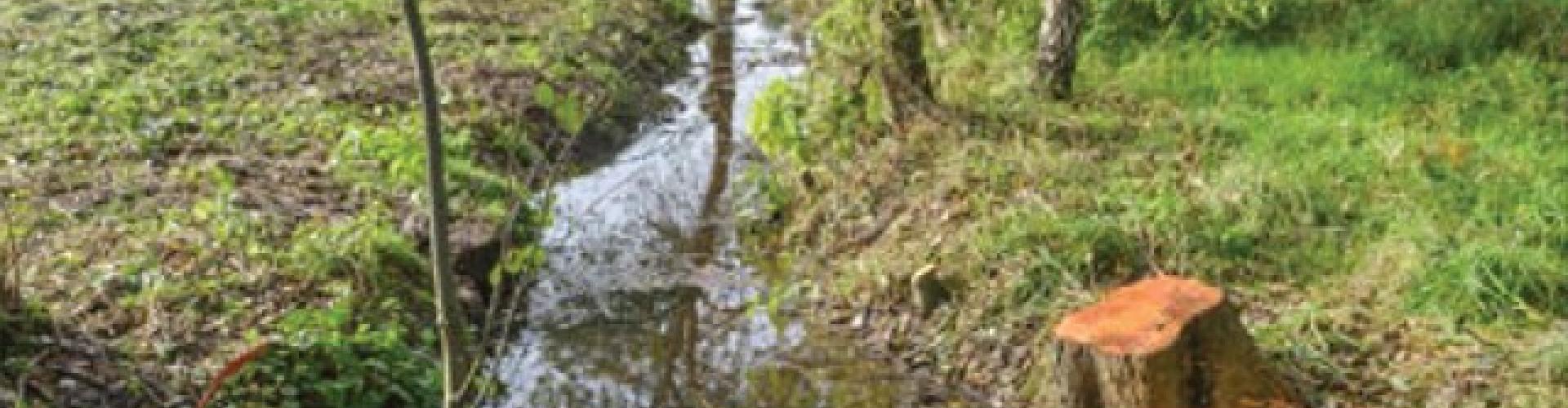 Rappel sur l'entretien des cours d'eau