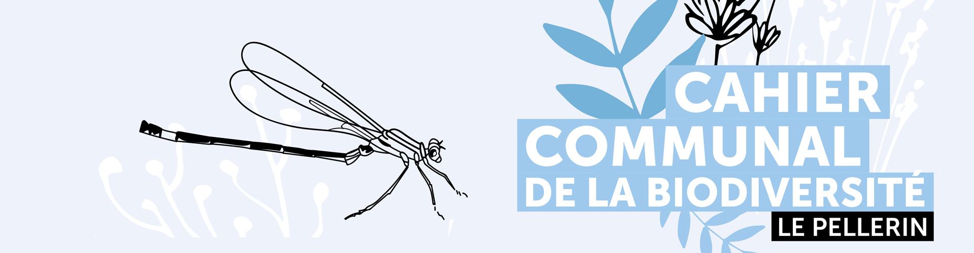 Visuel couverture du cahier de la biodiversité au Pellerin