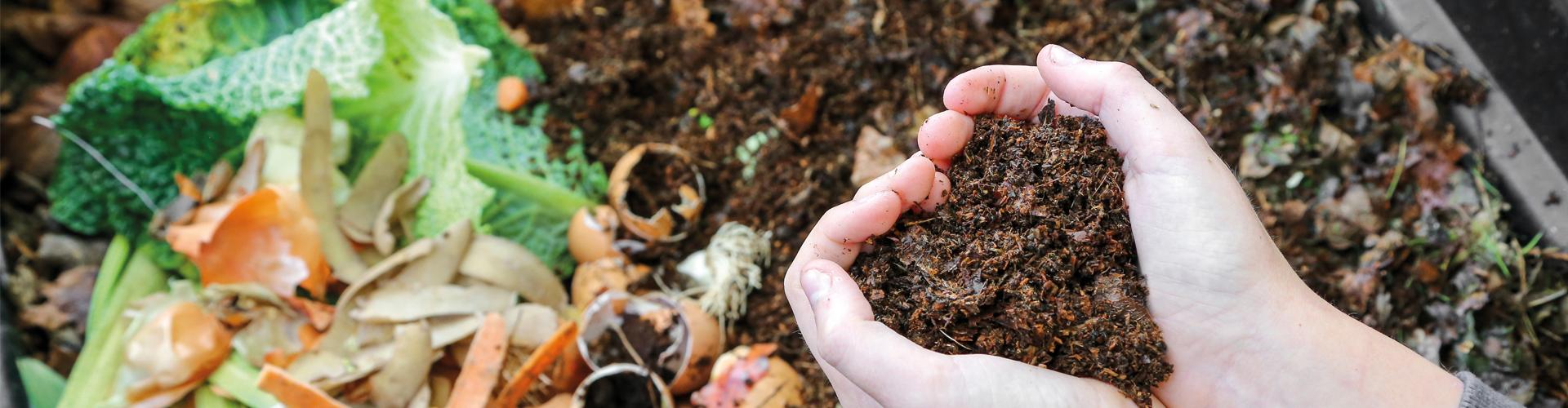 VIGNETTE COMPOST-AdobeStock_410456793